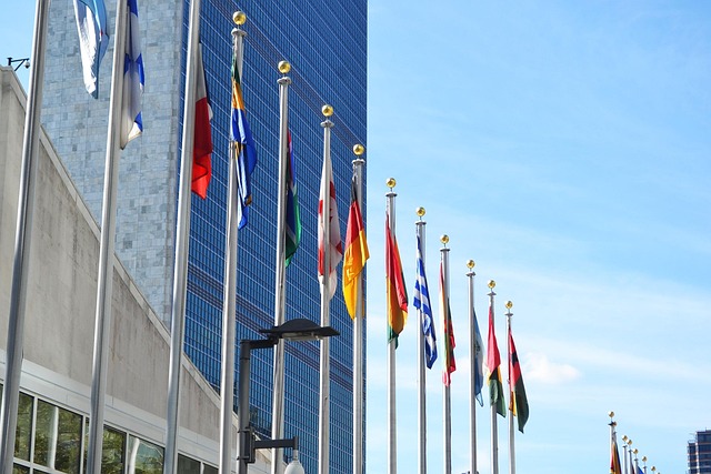 internattional flags